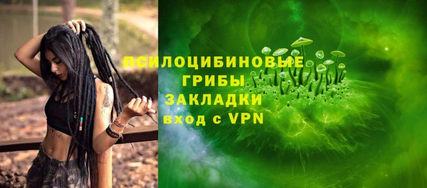 дживик Дубна